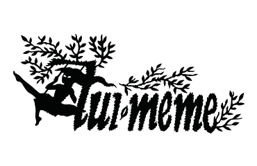 Liu-Meme Logo